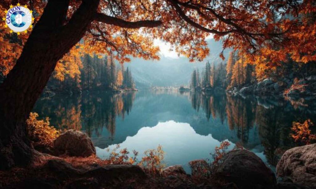 Nature Photography Captions for Instagram