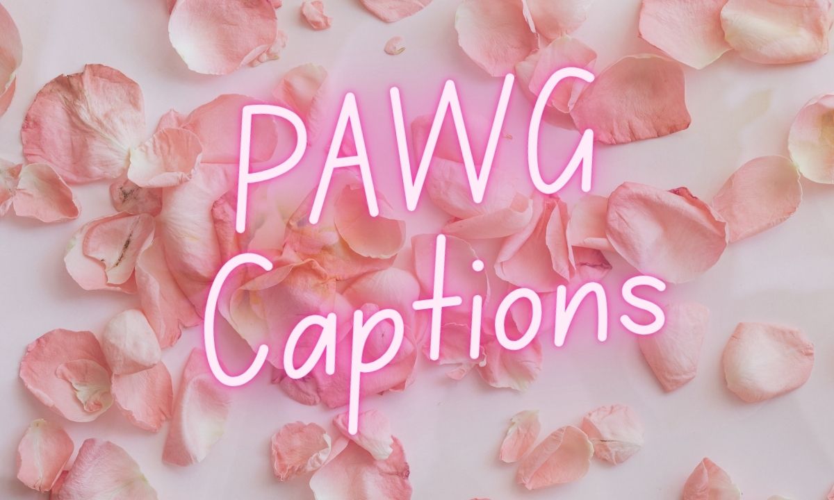 PAWG Captions